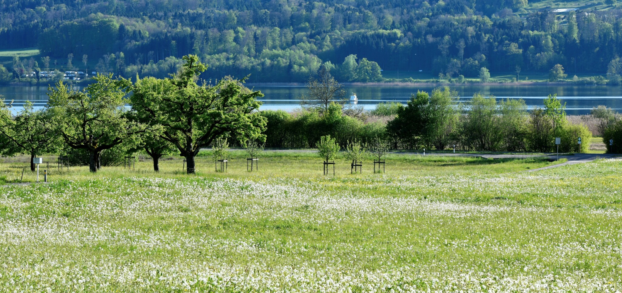 Neubauprojekt Schachenweid, Neubauprojekt, Neubauprojekt Oetwil am See, Neubauprojekt Zürich, Wohnung kaufen, Eigentumswohnung, Familienwohnung, Gartenwohnung, Attikawohnung, Erstbezug, Wohnsiedlung, Wohnüberbauung, Wohnungen, Parkplatz kaufen, Gewerbeflächen, Gewerbefläche kaufen, Begegnungszone, Grünanlage, Park, Parkanlage, Grünflächen, Bäume, Treffpunkt im Grünen, Natur, Naturnah, Ruhig, Spielplatz, Spiellandschaft, Spiel- und Liegewiese, Spielwiese, Liegewiese, Oetwil am See, Zürichsee, Zürcher Oberland, im Grünen, naturnah, idyllisch, Weitsicht, freie Sicht, Ausblick, Umgebung, Natur, Wald, Fussball, Schwimmbad, Sport, Naherholung, Sträucher, Blumenwiesen, begrünte Dächer, Mettlenbach, Minergie-Standard, Was ist Minergie-Standard?, Minergie, Energieverbrauch, Nachhaltigkeit, Bauherrin, Anlagestiftung, Seraina Invest, Seraina Investment Foundation